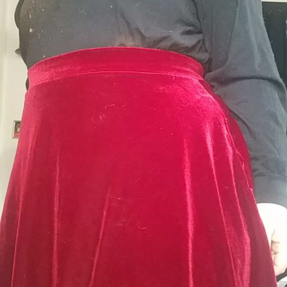 Velvet Skater Skirt